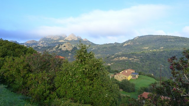 Felslandschaft Gallura