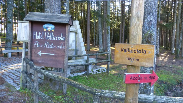 Vallicciola