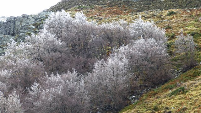 Eiswald Bruncu Spina Gennargentu