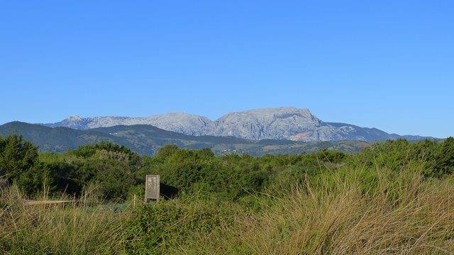 Blick auf Monte Albo