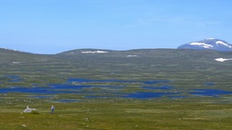 Schweden Härjedalen Wohnmobil